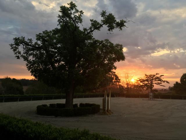 Galeria Quintas da Baroneza - Foto 11