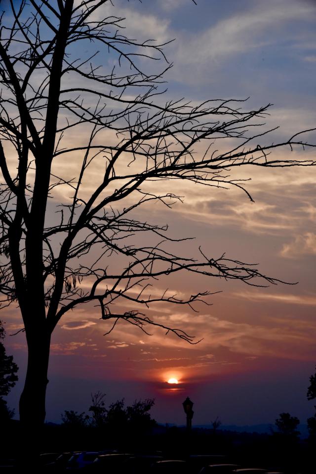 Galeria Quintas da Baroneza - Foto 33
