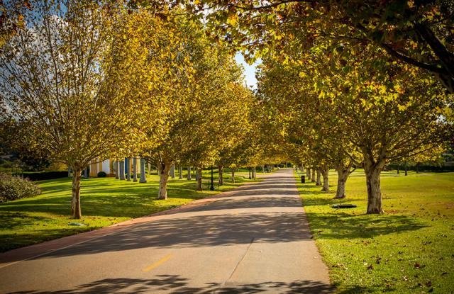 Galeria Quintas da Baroneza - Foto 4