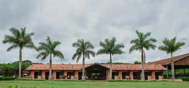 Galeria Quintas da Baroneza - Foto 23