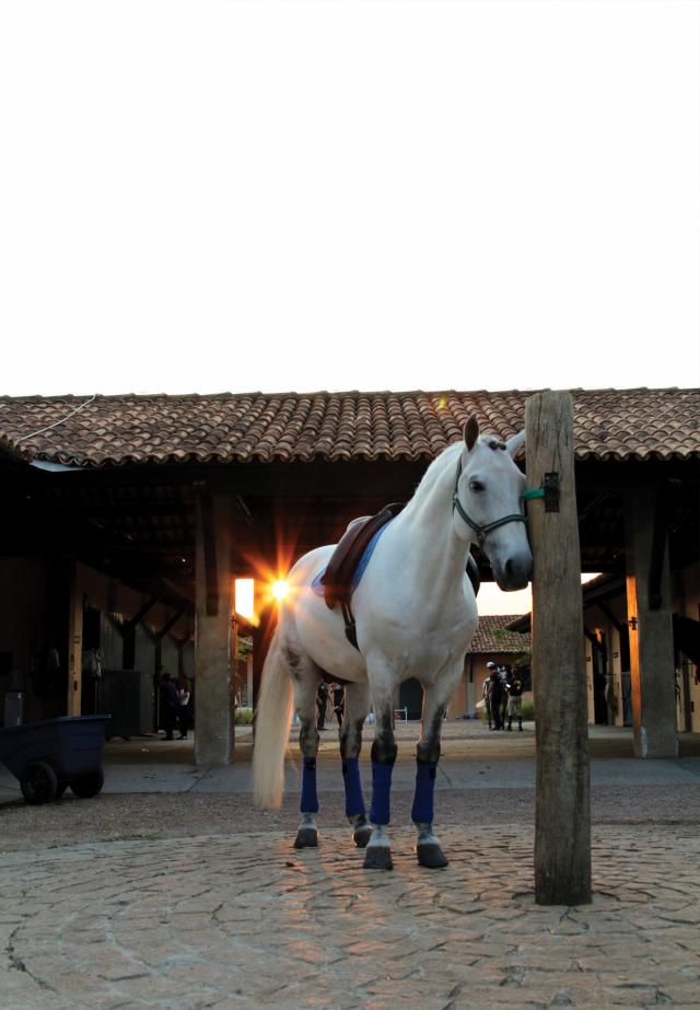 Galeria Quintas da Baroneza - Foto 45