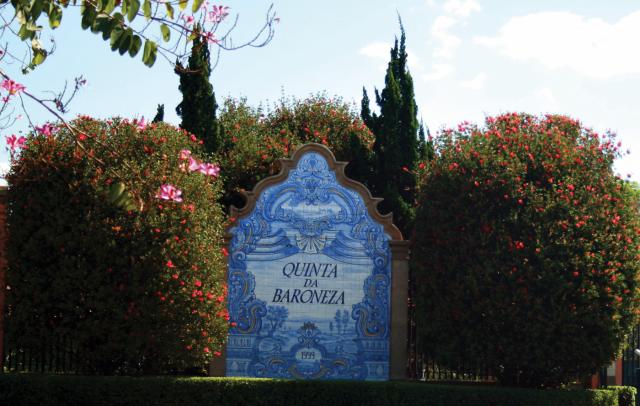 Galeria Quintas da Baroneza - Foto 31