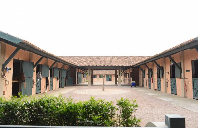 Galeria Quintas da Baroneza - Foto 25